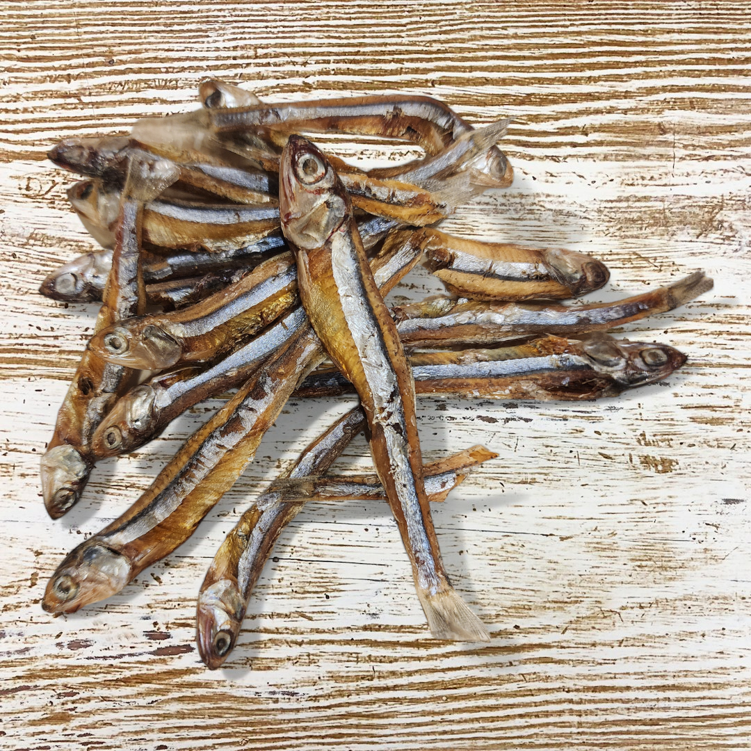 Fin-tastic Anchovies